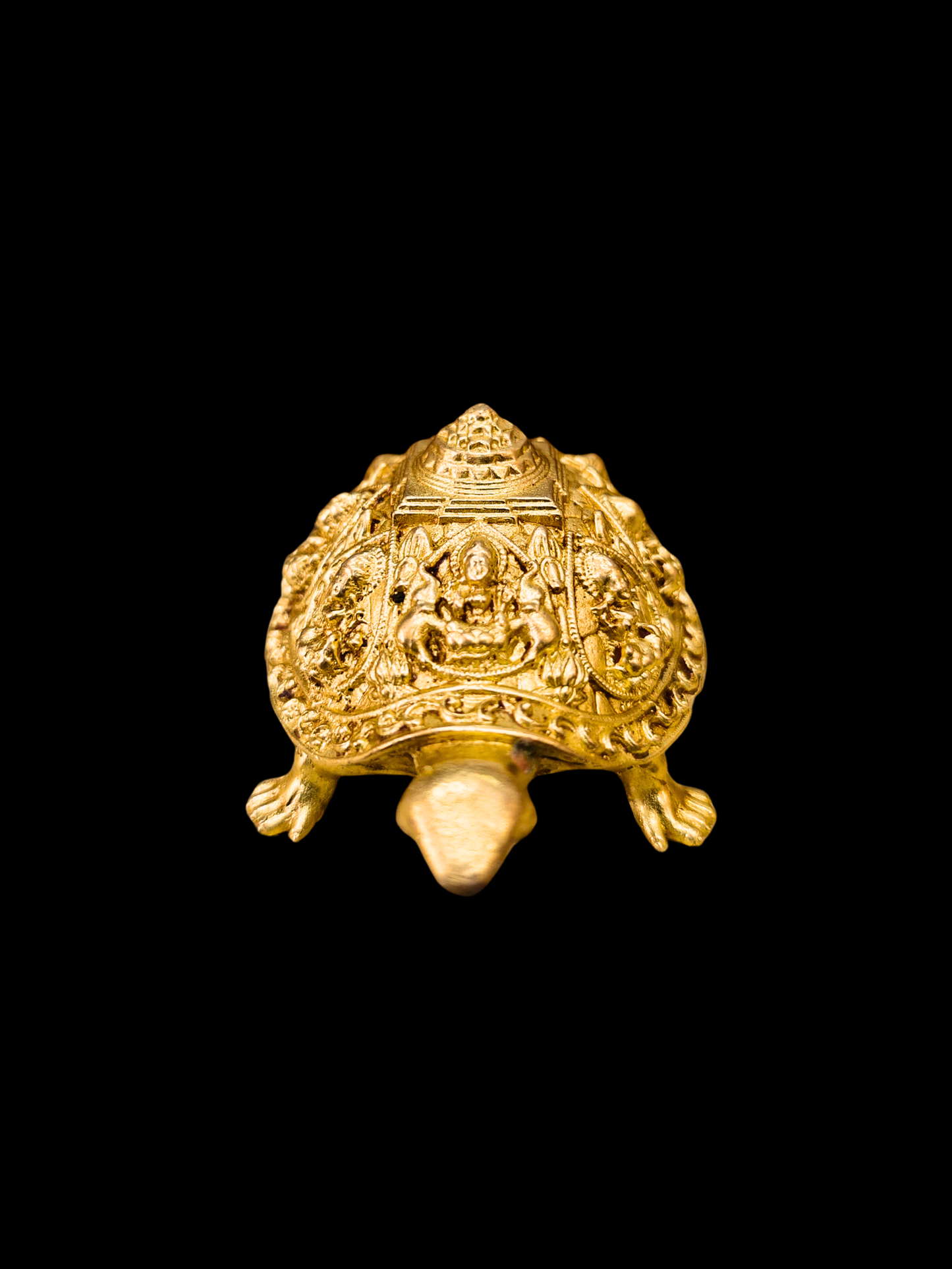 Ashta(8) Lakshmi Kachua