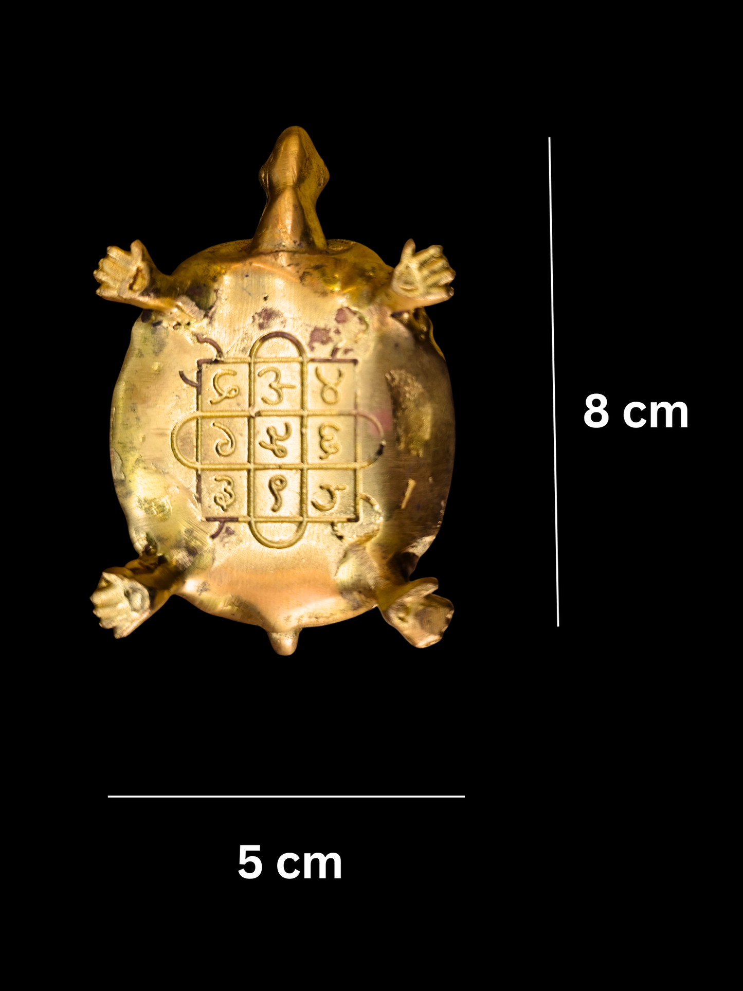 Ashta(8) Lakshmi Kachua